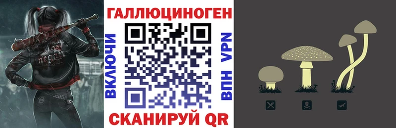 блэк спрут зеркало  Павловская  Галлюциногенные грибы Psilocybe 